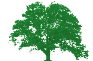 Tree_logo